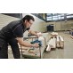 BOSCH GST 12V-70 figūrzāģis 2x3.0 Ah L-Boxx